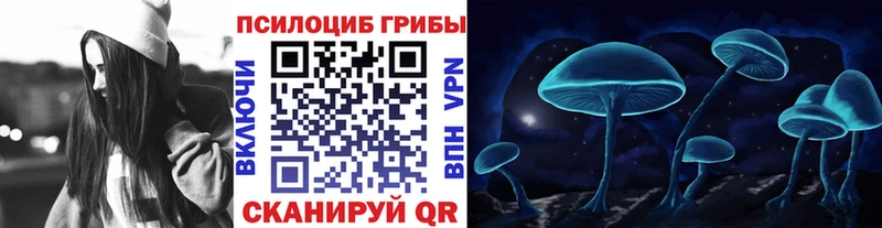 Псилоцибиновые грибы мицелий  гидра ссылки  Холм 